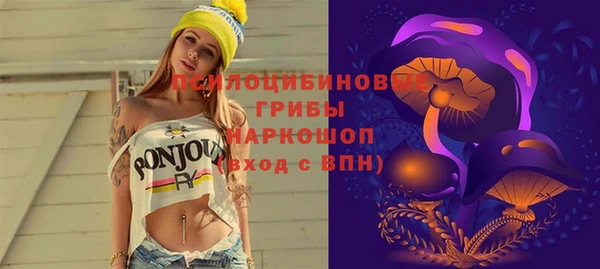 а пвп мука Няндома