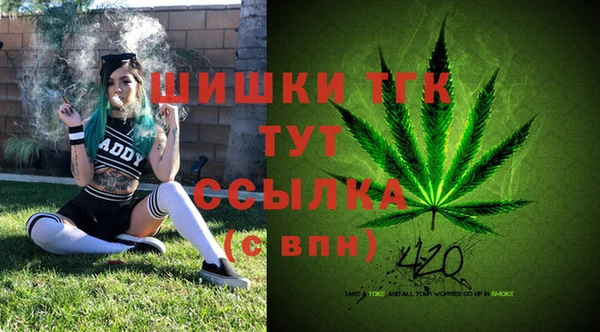 гашиш Новодвинск