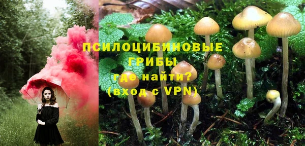 гашиш Новодвинск