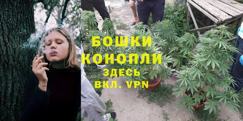 Шишки марихуана THC 21%  блэк спрут вход  Петровск-Забайкальский 