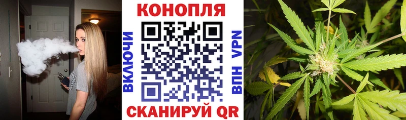 Шишки марихуана марихуана  что такое   Петровск-Забайкальский 
